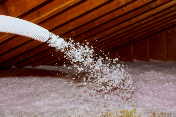 Professional Insulation Contractor in Plainview, TX