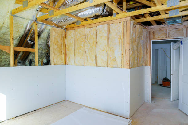 Best Specialized Insulation Services in Plainview, TX
