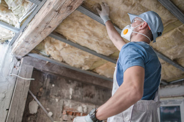 Best Insulation Maintenance and Repair in Plainview, TX