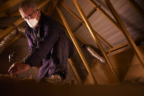 Best Cellulose Insulation in Plainview, TX