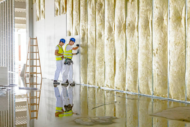 Best Energy Efficiency Insulation in Plainview, TX
